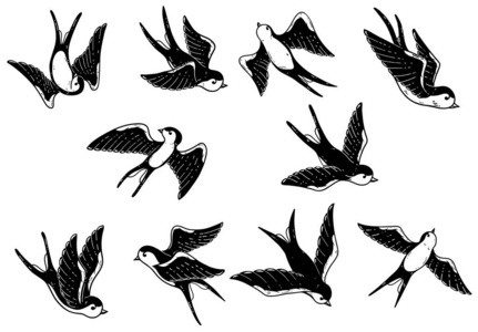 一套手绘燕子插图白色背景。 海报卡的设计元素。 矢量图像
