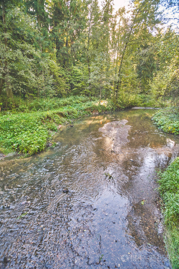 秋天森林里的一条小河