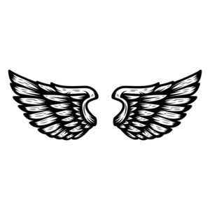 翅膀孤立在白色背景上。 标志标签标志的设计元素。 矢量插图