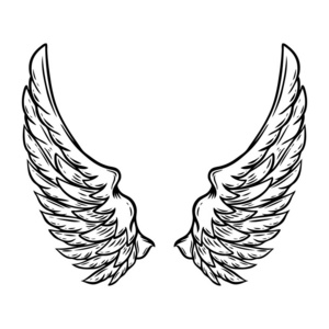 手绘翅膀孤立在白色背景上. 海报卡t恤的设计元素. 矢量插图照片