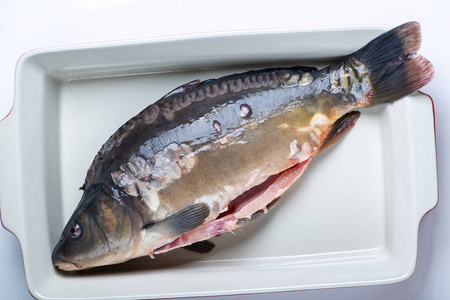新鲜的鲫鱼被隔离在白色的盘子上。淡水鱼。