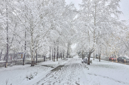 街上下雪了。 树枝长凳上小巷白雪覆盖在空中很多雪花都在飞车前灯冬季天气城市景观