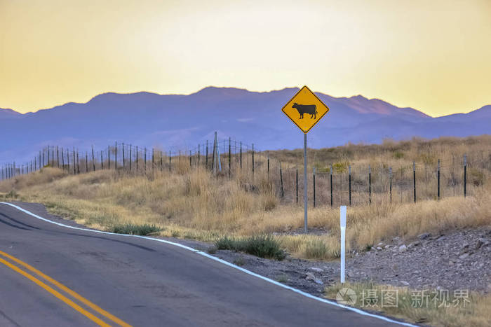 68高速公路在犹他州与牛横穿路标志