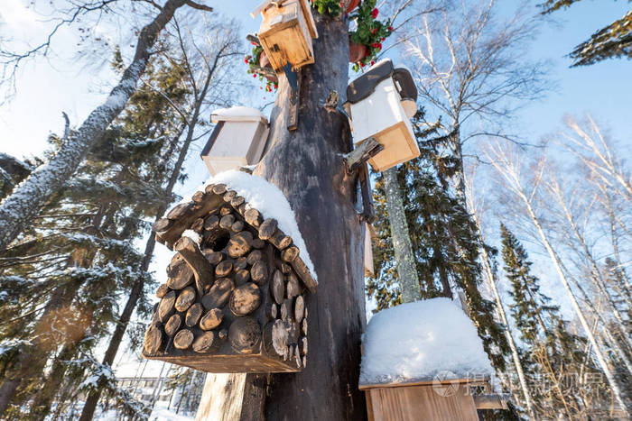 许多鸟舍, 供鸟类和树上的饲养员使用.冬天的鸟儿之家在树上的雪下.
