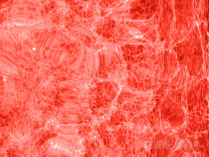 2019年活珊瑚的颜色全息明亮的纹理背景