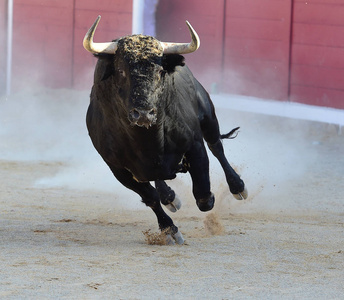 奔跑牛图片-奔跑牛素材-奔跑牛插画-摄图新视界