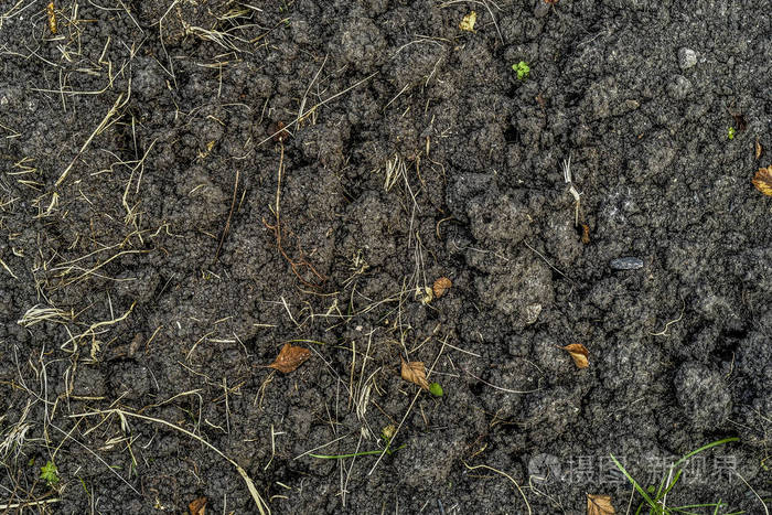 复杂,难以理解的黑色土壤和土壤的原始和有趣的纹理图案和背景.