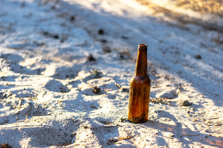 松林沙地上的棕色啤酒瓶。 环境污染。 破坏自然。