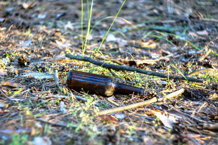 一个肮脏的空啤酒瓶躺在松林的地上。 环境污染。
