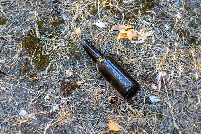 摄图新视界>照片>物体>一个肮脏的空啤酒瓶躺在松林的地上. 环境污染.