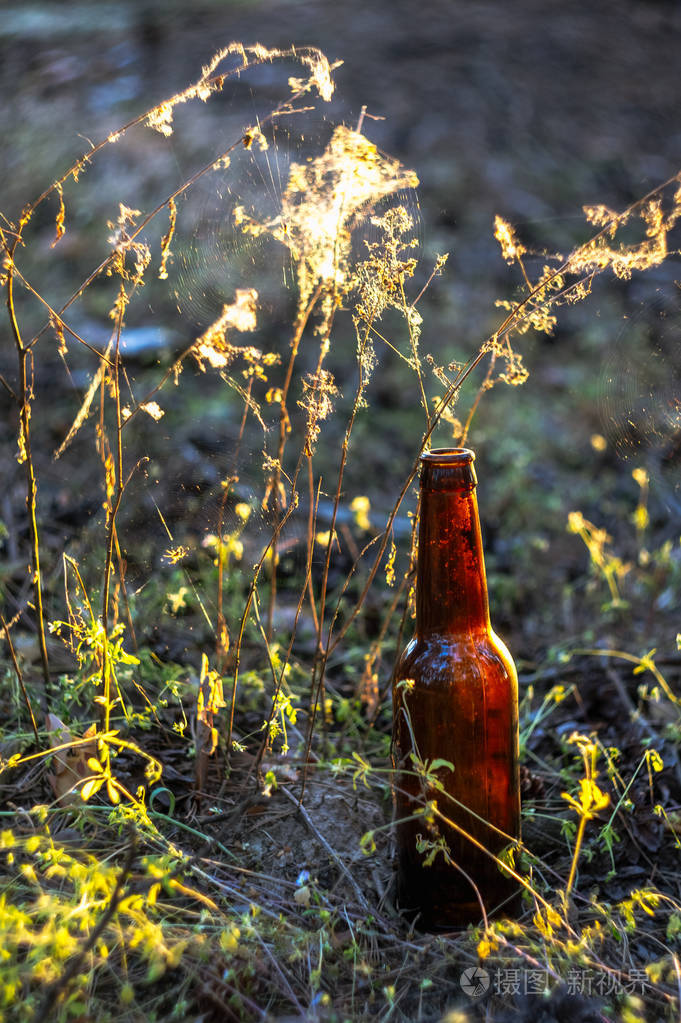 日落时蜘蛛网附近草地上的棕色啤酒瓶环境污染