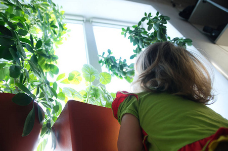 小女孩从下面仰望窗户上的植物。 伟大的世界。 儿童视角。