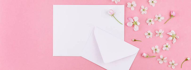 创意平面，长宽横幅，空白字母信封和春樱桃树花在千禧粉红色背景上，复制空间在最小的风格模板，以庆祝情人节卡片