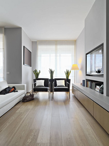 一个现代化客厅的内部照片，前景，两个皮革扶手椅和皮革沙发，地板是由木材制成的。