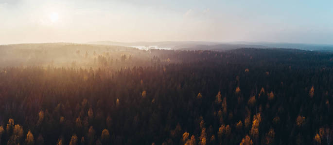 芬兰日落时空中秋色森林全景