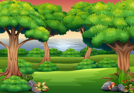 森林背景场景图片