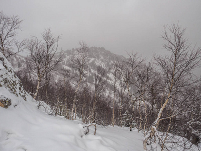 塔加奈自然公园的风雪冬季. 有孤独树木的山脉. 自然景观.照片