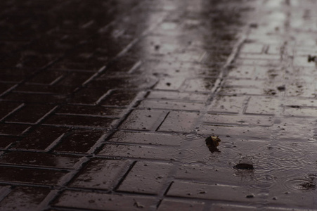 白天下雨时的湿沥青图片