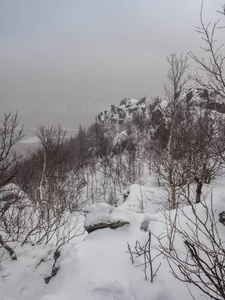 山顶上的暴风雪。 塔加奈自然公园的风雪冬季。 有孤独树木的山脉。 自然景观。