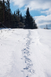 雪道靠近了。 冬天在山上徒步旅行。 巨大的漂移。 冬天的苦行