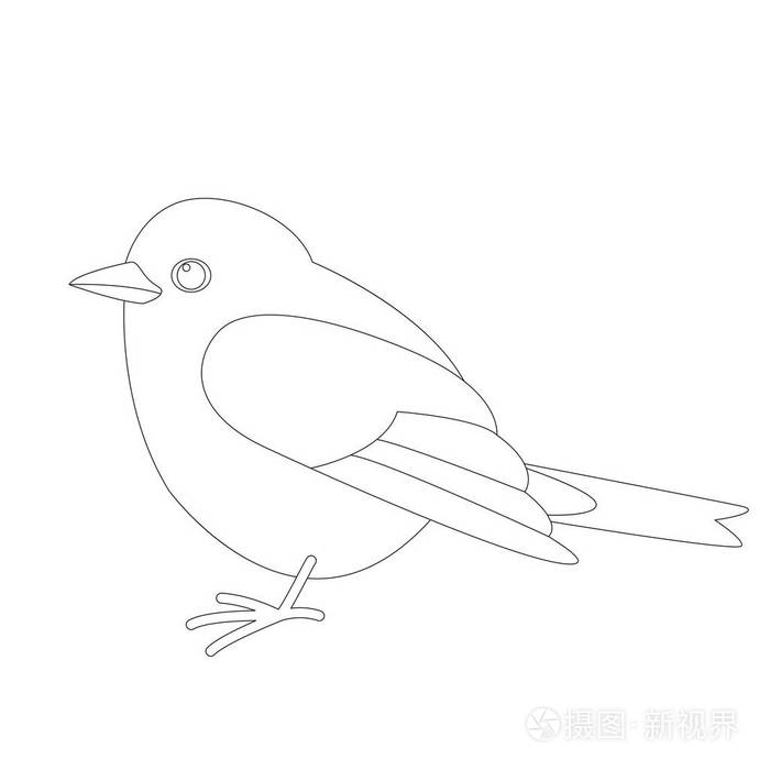 简笔画知更鸟图片