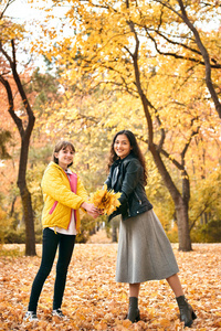 s leaves in autumn park. Beautiful landscape at fall season.