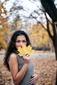 s leaf in autumn park near big tree. Beautiful landscape at fall