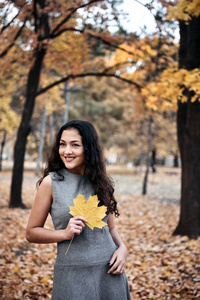 s leaf in autumn park near big tree. Beautiful landscape at fall