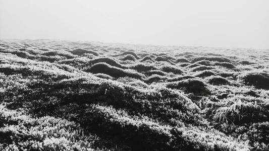 来自山上的冬季景观。雪是雾。冬季山脉。