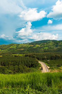 高山稻田的全景，有路，有美丽的天空