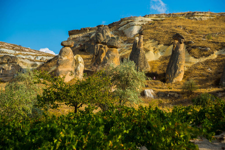 美丽的风景。家山上的山岗和蘑菇，仙女烟囱..PasabagVadisi，Cappadocia，安纳托利亚，土耳其