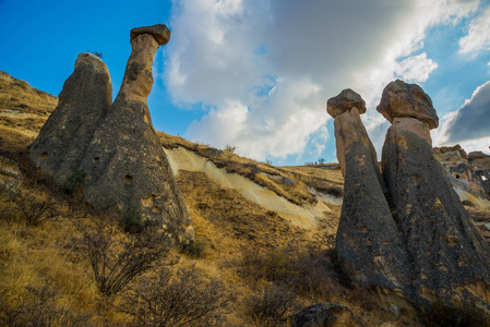 以蘑菇的形式摇动。美丽而不寻常的山脉毛茸茸的烟囱。帕萨巴格，蒙克斯谷，卡帕多西亚，安纳托利亚，土耳其。