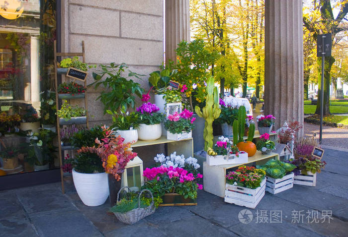 意大利贝尔加莫2018年11月4日在贝尔加莫花街商店出售鲜花