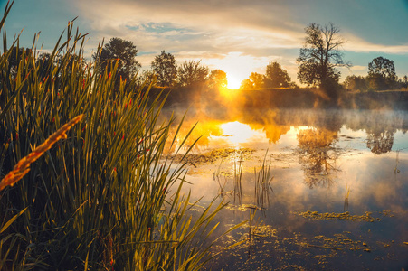 河上的早晨美丽的早晨景观在一条河上,薄雾笼罩着水面.照片