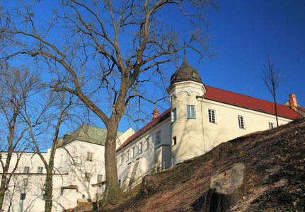 美丽的白色城堡在弗里德克薄雾捷克共和国，晴天秋日