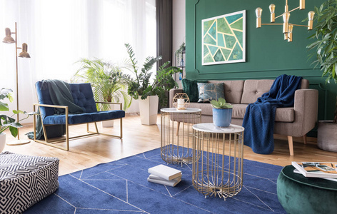 绿色和蓝色客厅室内设计，配有地毯咖啡桌和舒适的家具