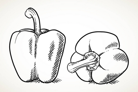 新鲜甜椒在黑色隔离在白色。 农产品市场素食食谱的蔬菜设计元素。 雕刻轮廓风格的矢量插图。