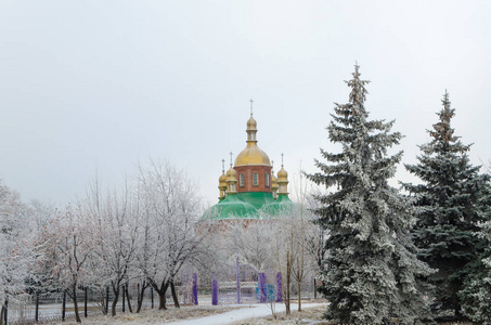 冬天树枝后面教堂的金色圆顶。