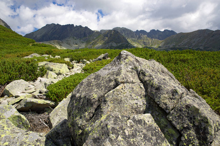 斯洛伐克塔特拉山上的老石头场景