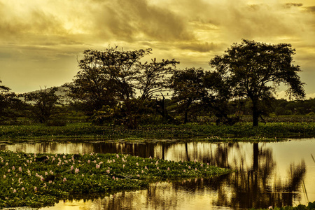 斯里兰卡美丽的风景图片图片