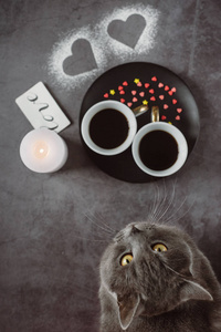 情人节。两杯咖啡灰色漂亮的猫蜡烛和心在黑暗的背景上。 冬季或春季概念