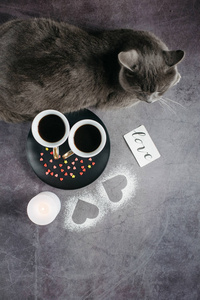 情人节。两杯咖啡灰色漂亮的猫蜡烛和心在黑暗的背景上。 冬季或春季概念