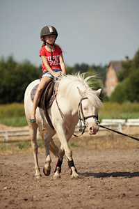 立陶宛农村的一个年轻女孩和一匹白马