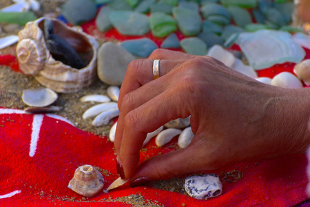 海壳来自海滩的各种贝壳。 贝壳海色石在沙子上的红色毛巾上。 夏季海滩背景。 从上面看。 装饰构图是平的。