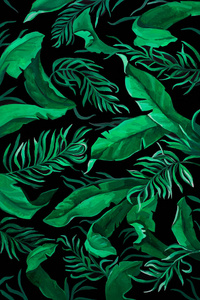棕榈绿叶艺术背景图图片