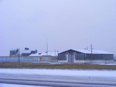 白俄罗斯农业老农场的冬季画面，奶牛看雪道