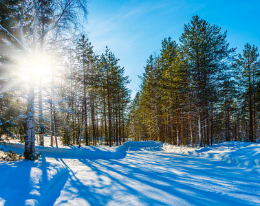 去拉普兰去圣诞老人。 下雪的圣诞节。 北极圈。 冬天森林里的日落。 异国情调和极端旅行的概念