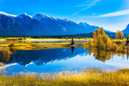 神奇的亚伯拉罕湖的水反映了山和树。 阳光明媚的秋天，在加拿大的岩石山。 生态和主动旅游的概念