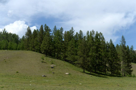 阿泰共和国乌兰林区的山区景观。