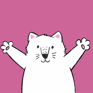 睡衣猫图片